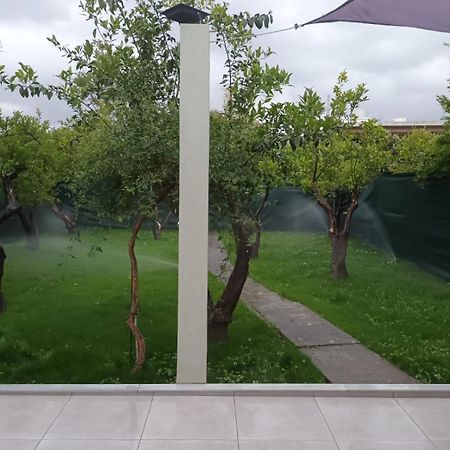 Olgas Cozy Home Chania  Eksteriør billede